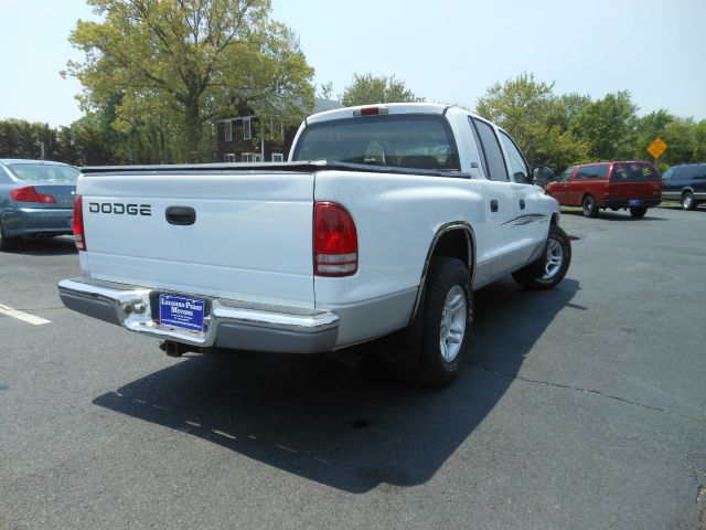 Dodge Dakota 2001 photo 11