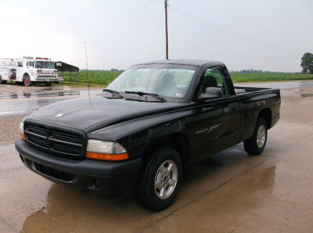 Dodge Dakota 2001 photo 3