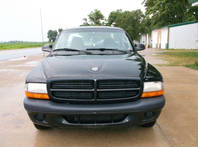 Dodge Dakota 2001 photo 4