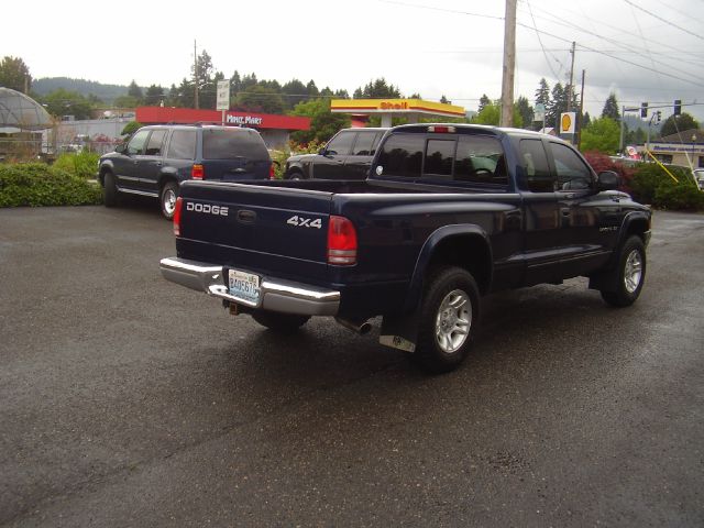 Dodge Dakota 2001 photo 1