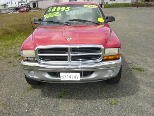 Dodge Dakota 2001 photo 4