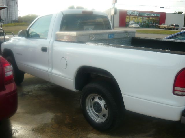 Dodge Dakota 2001 photo 1