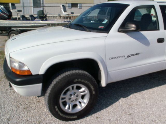 Dodge Dakota 2001 photo 4