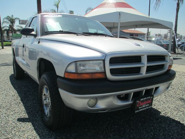 Dodge Dakota 2001 photo 2