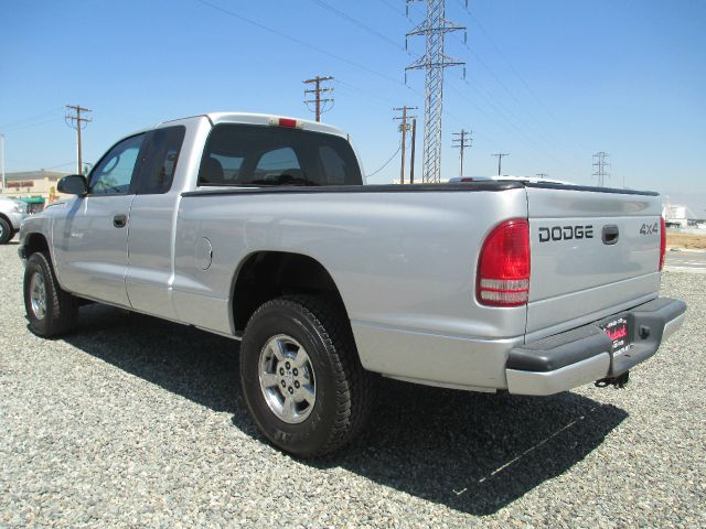 Dodge Dakota 2001 photo 3