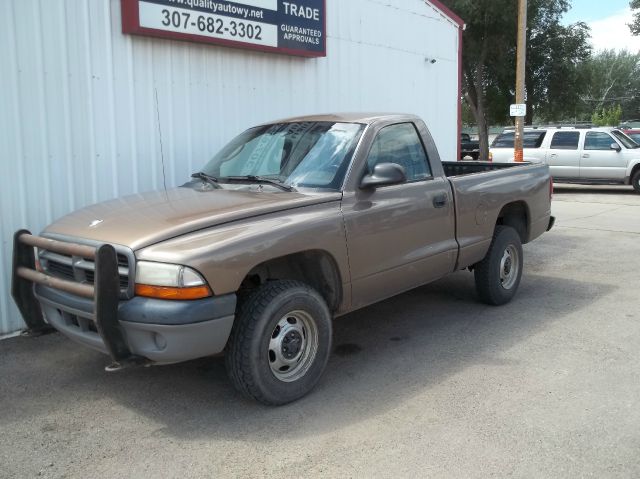 Dodge Dakota 2001 photo 2