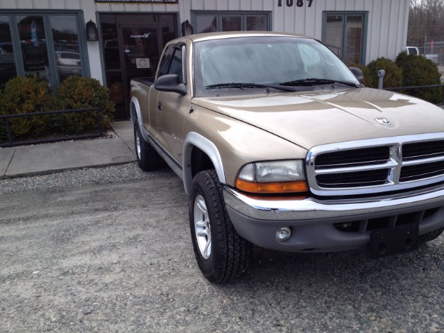 Dodge Dakota 2001 photo 4