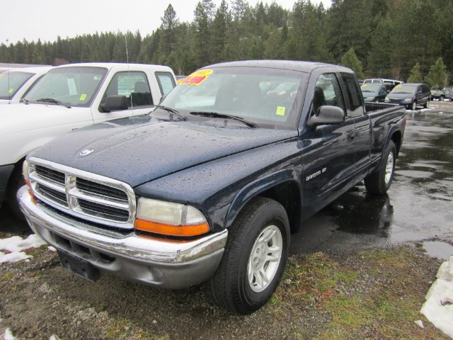 Dodge Dakota 2002 photo 1