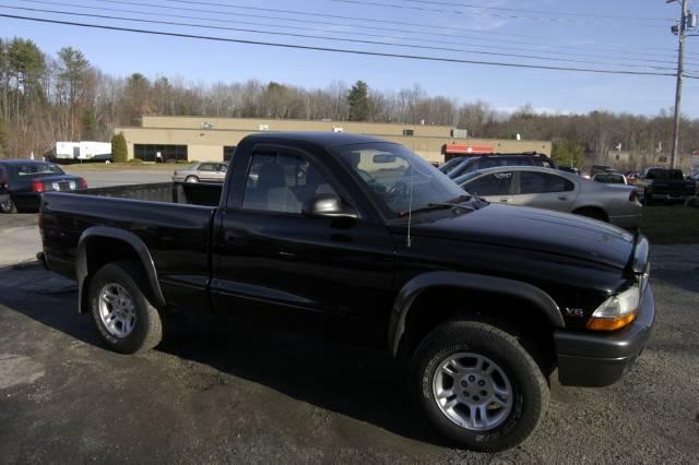 Dodge Dakota 2002 photo 1