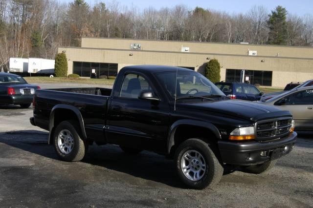 Dodge Dakota 2002 photo 5