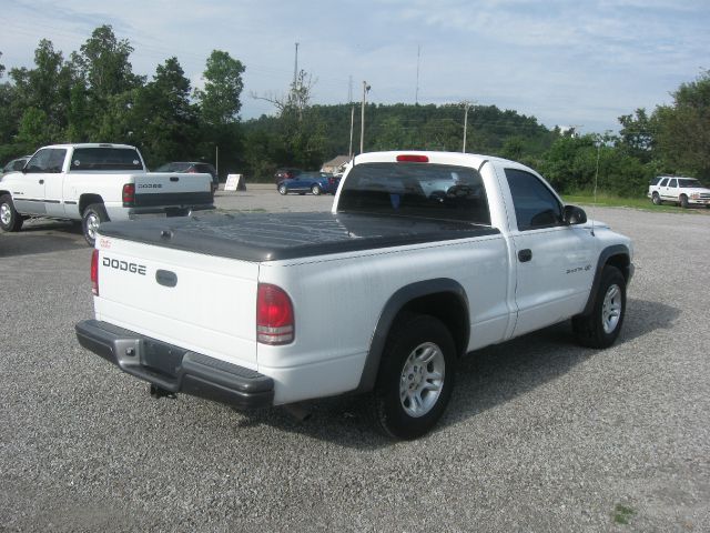 Dodge Dakota 2002 photo 1