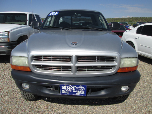 Dodge Dakota 2002 photo 1