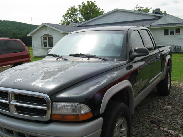 Dodge Dakota 2002 photo 1