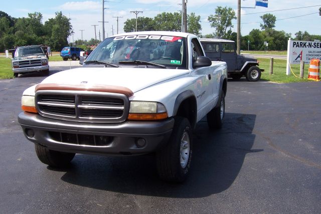 Dodge Dakota 2002 photo 4