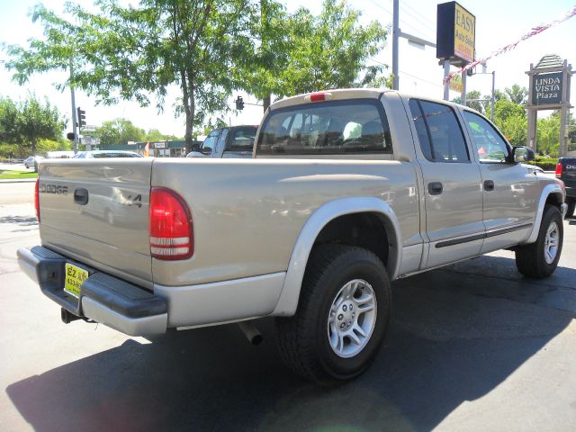 Dodge Dakota 2002 photo 4