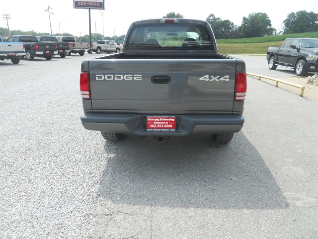 Dodge Dakota 2002 photo 1