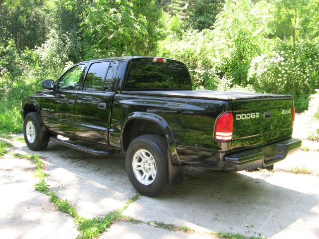 Dodge Dakota 2002 photo 2