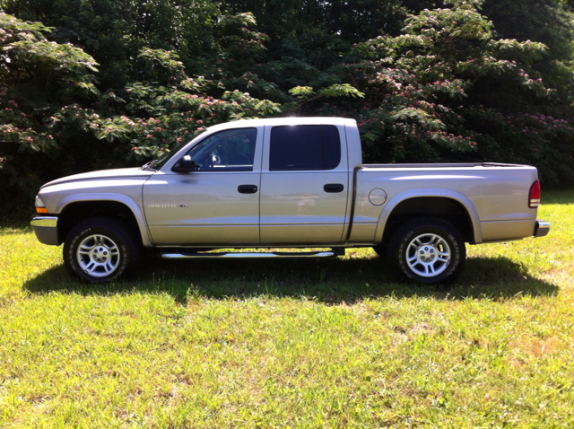 Dodge Dakota 2002 photo 4