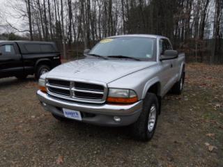 Dodge Dakota 2002 photo 2