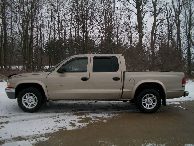 Dodge Dakota 2002 photo 4