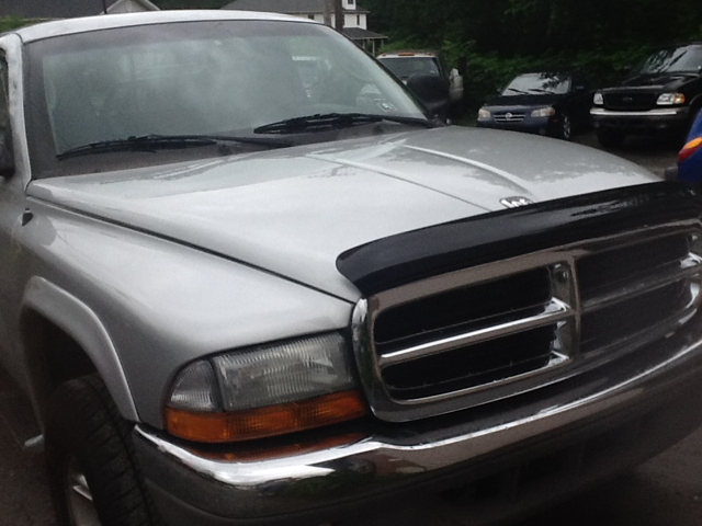 Dodge Dakota 2002 photo 1