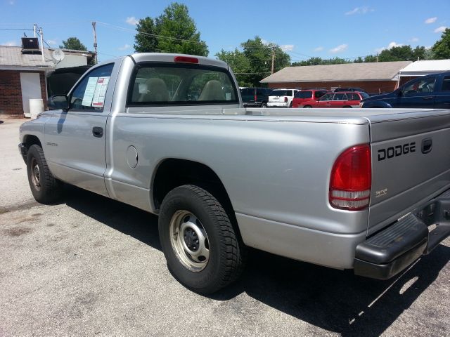 Dodge Dakota 2002 photo 4