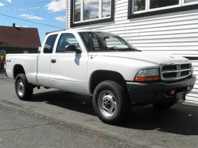 Dodge Dakota 2003 photo 1