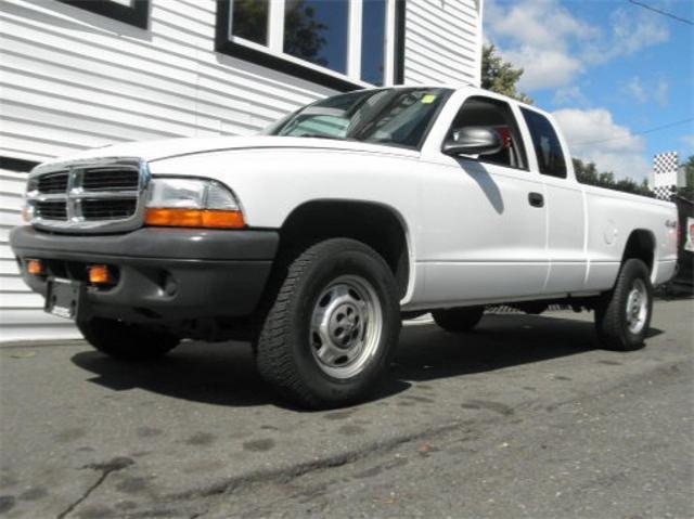 Dodge Dakota 2003 photo 3