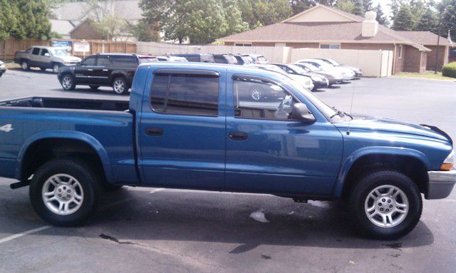 Dodge Dakota 2003 photo 3