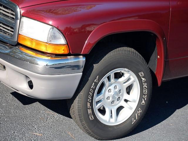 Dodge Dakota 2003 photo 1