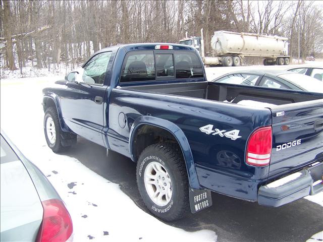 Dodge Dakota 2004 photo 2