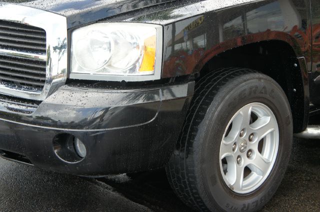 Dodge Dakota 2007 photo 4