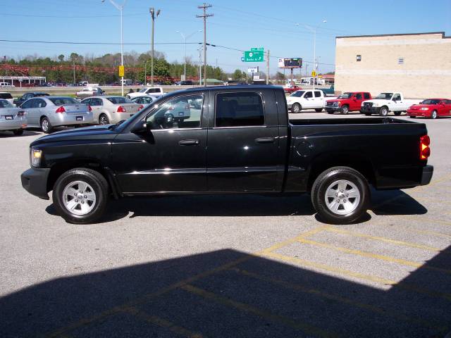 Dodge Dakota 2008 photo 3