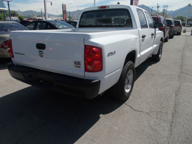 Dodge Dakota 2008 photo 2