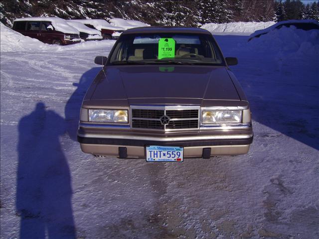 Dodge Dynasty 1992 photo 1