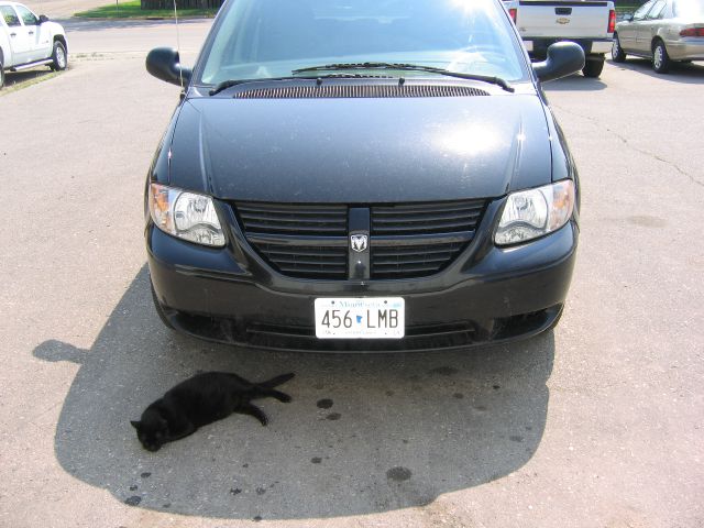 Dodge Grand Caravan 2006 photo 4