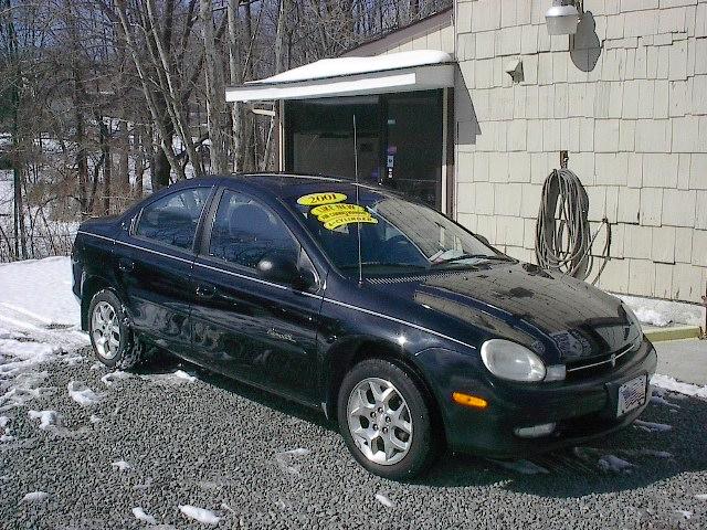 Dodge Neon Elk Conversion Van Sedan