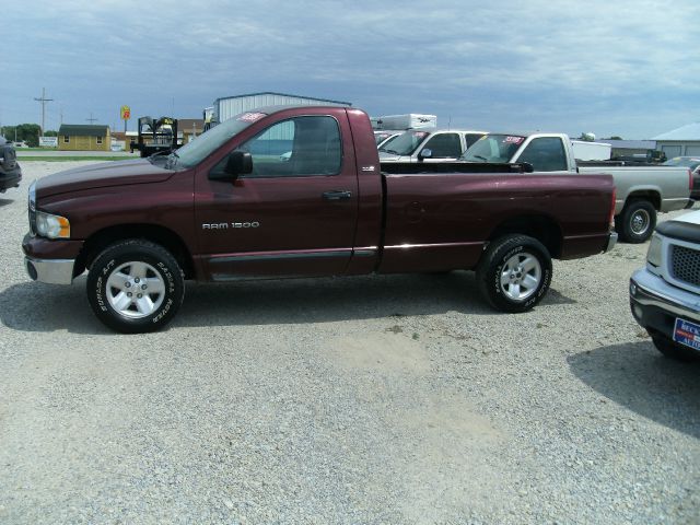 Dodge Ram 1500 2002 photo 2