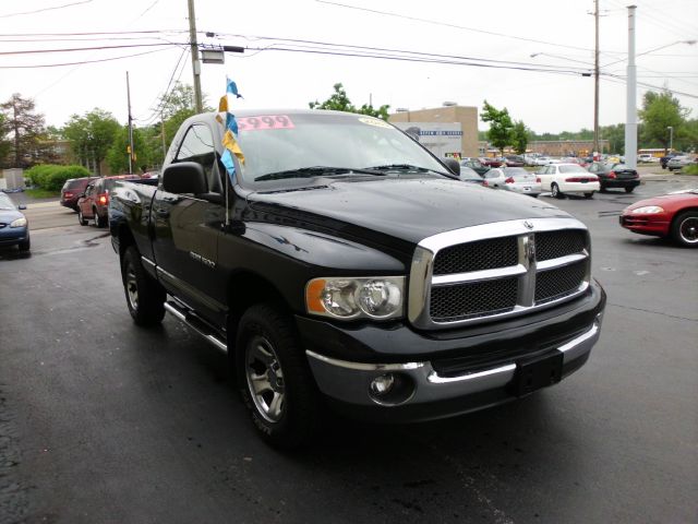 Dodge Ram 1500 2002 photo 3