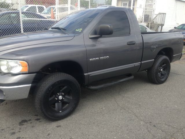 Dodge Ram 1500 2002 photo 1