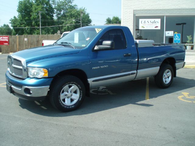 Dodge Ram 1500 2002 photo 2