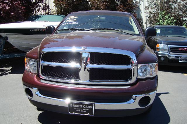 Dodge Ram 1500 2004 photo 2