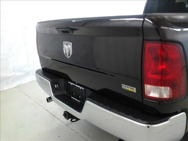 Dodge Ram 1500 2010 photo 4