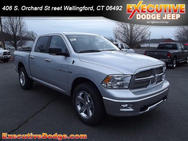 Dodge Ram 1500 Base Especial Edition Pickup