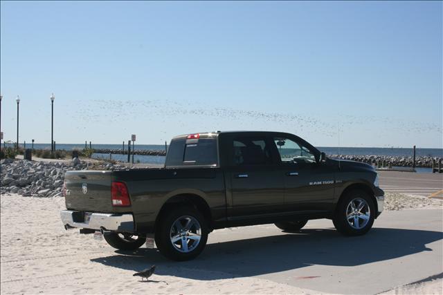 Dodge Ram 1500 Base Especial Edition Pickup