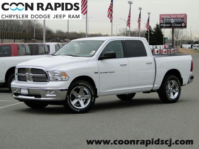 Dodge Ram 1500 Unknown Pickup