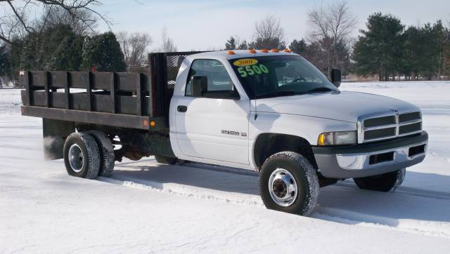 Dodge Ram Pickup 2001 photo 2