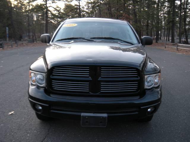 Dodge Ram Pickup Bucket Pickup