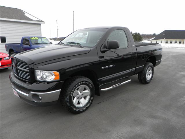 Dodge Ram Pickup 2002 photo 1