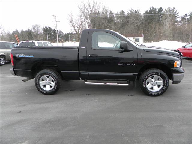 Dodge Ram Pickup 2002 photo 4